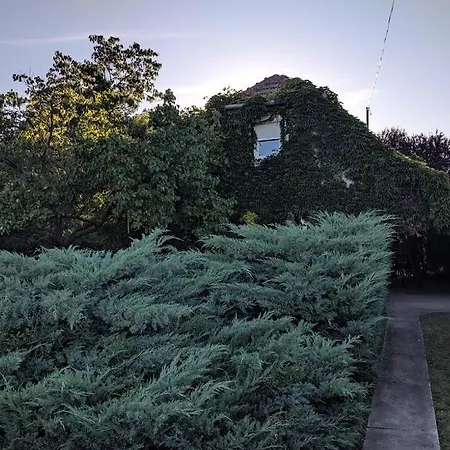 Fuzfa Nyaralo * Szarvas